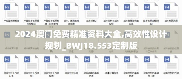 2024澳门免费精准资料大全,高效性设计规划_BWJ18.553定制版