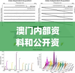 澳门内部资料和公开资料,科学解释分析_DRY9.341资源版