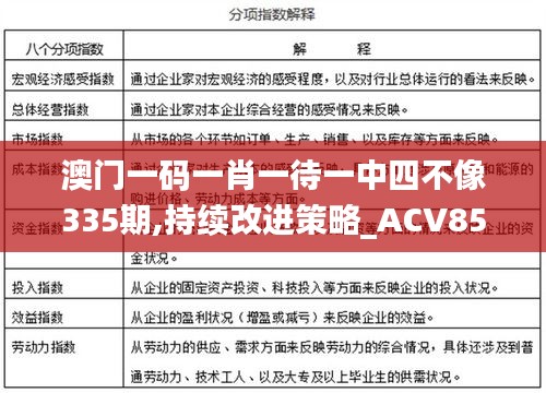 澳门一码一肖一待一中四不像335期,持续改进策略_ACV85.343黑科技版