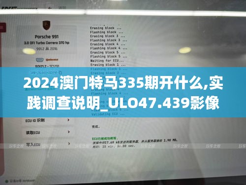 2024澳门特马335期开什么,实践调查说明_ULO47.439影像处理版