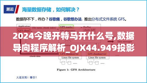 2024今晚开特马开什么号,数据导向程序解析_OJX44.949投影版