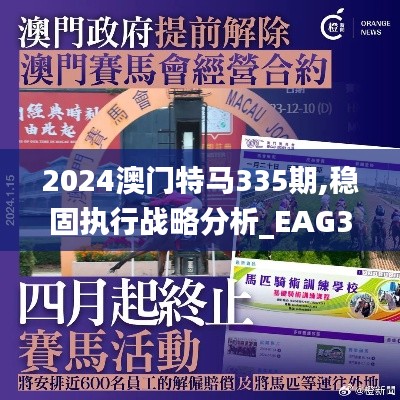 2024澳门特马335期,稳固执行战略分析_EAG37.760文化版