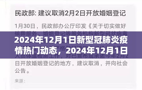 2024年12月1日新型冠肺炎疫情热门动态解析