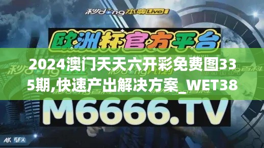 2024澳门天天六开彩免费图335期,快速产出解决方案_WET38.224迅捷版