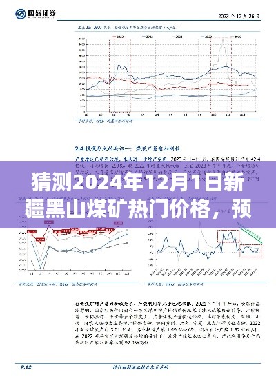 新疆黑山煤矿市场走势预测与热门价格展望（2024年展望）