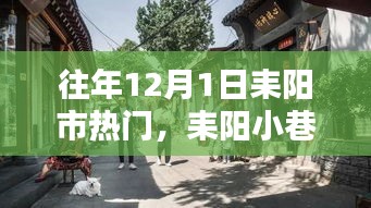 耒阳小巷深处的时光小店，历年12月1日的热门秘密