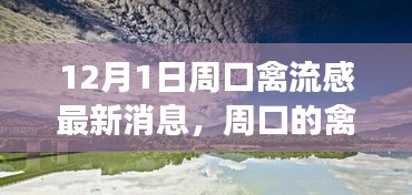 周口禽流感阴霾下的自然美景治愈之旅最新消息（12月1日）