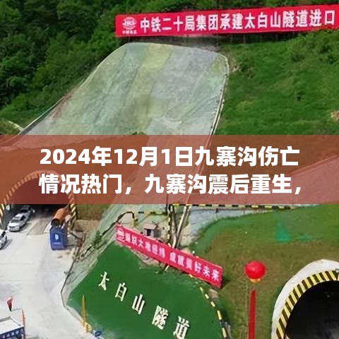 九寨沟重生与变迁，学习信心与成就感的源泉，2024年最新伤亡情况揭秘