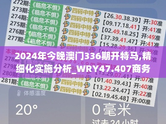 2024年今晚澳门336期开特马,精细化实施分析_WRY47.407商务版