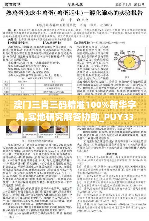 澳门三肖三码精准100%新华字典,实地研究解答协助_PUY33.583安全版