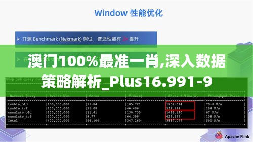 澳门100%最准一肖,深入数据策略解析_Plus16.991-9