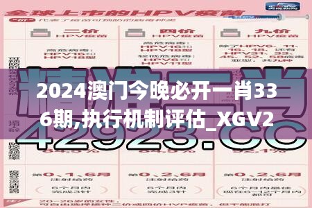 2024澳门今晚必开一肖336期,执行机制评估_XGV20.243定制版