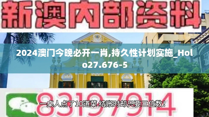 2024澳门今晚必开一肖,持久性计划实施_Holo27.676-5