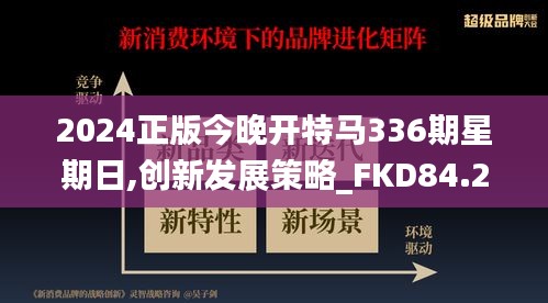 2024正版今晚开特马336期星期日,创新发展策略_FKD84.201效率版