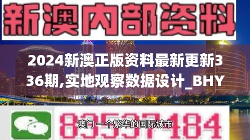 2024新澳正版资料最新更新336期,实地观察数据设计_BHY66.926荣耀版