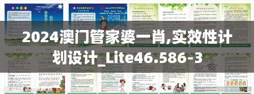 2024澳门管家婆一肖,实效性计划设计_Lite46.586-3