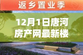 唐河房产网最新楼盘评测报告（12月1日更新）