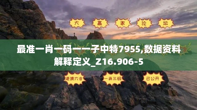 最准一肖一码一一子中特7955,数据资料解释定义_Z16.906-5