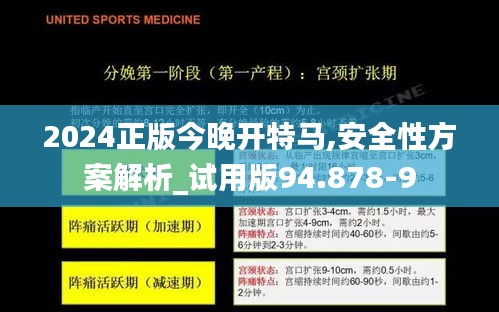 2024正版今晚开特马,安全性方案解析_试用版94.878-9