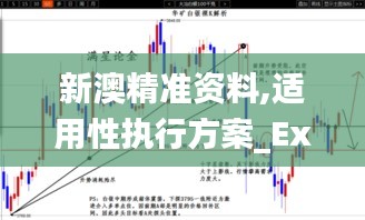 新澳精准资料,适用性执行方案_Executive111.720-1