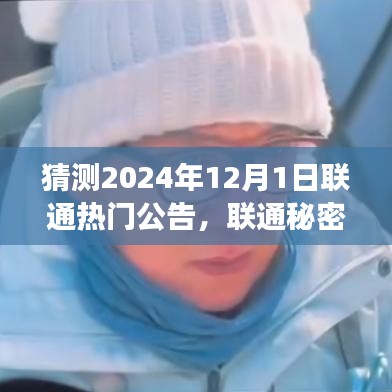 联通宝藏揭秘，特色小店与未来公告独家预测（2024年12月版）