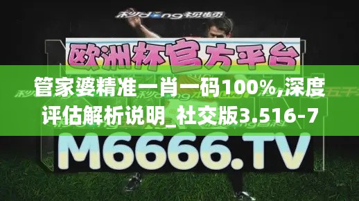 管家婆精准一肖一码100%,深度评估解析说明_社交版3.516-7