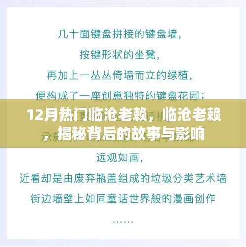 揭秘临沧老赖背后的故事与影响，十二月热点人物深度剖析