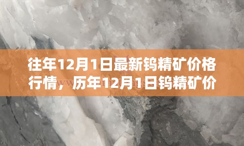 历年与最新钨精矿价格行情深度解析，聚焦历年与今日价格走势对比