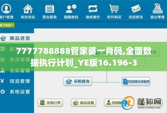 7777788888管家婆一肖码,全面数据执行计划_YE版16.196-3