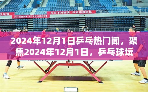 聚焦乒乓球坛热议，2024年12月1日乒乓热门要闻速递