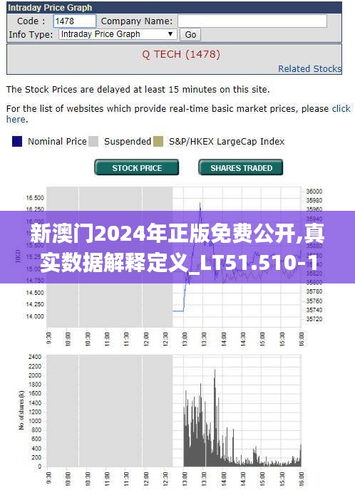 新澳门2024年正版免费公开,真实数据解释定义_LT51.510-1