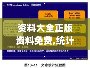 资料大全正版资料免费,统计分析解析说明_macOS43.996-1