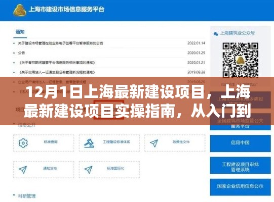 上海最新建设项目实操指南，从入门到精通的详细步骤（12月1日更新）
