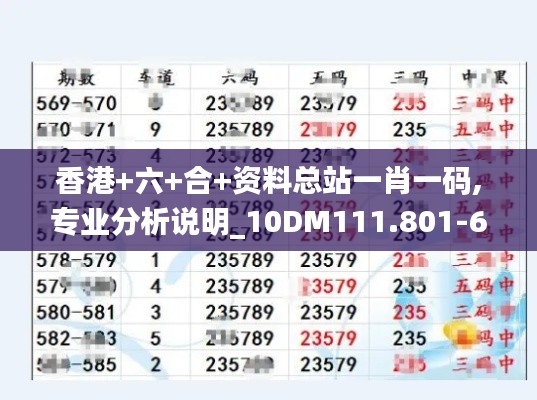 香港+六+合+资料总站一肖一码,专业分析说明_10DM111.801-6