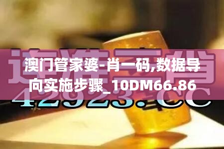 澳门管家婆-肖一码,数据导向实施步骤_10DM66.869-1