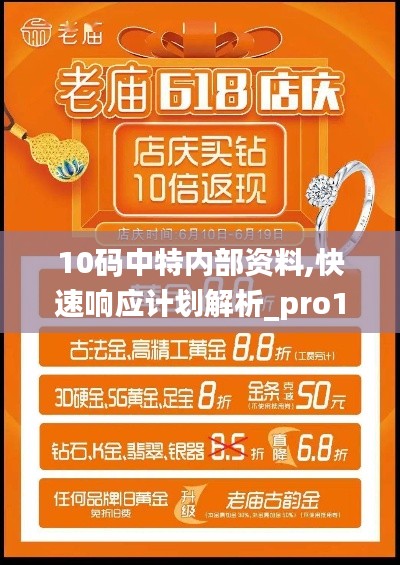 10码中特内部资料,快速响应计划解析_pro19.618-8