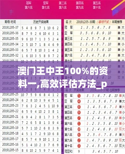 澳门王中王100%的资料一,高效评估方法_pro82.915-1