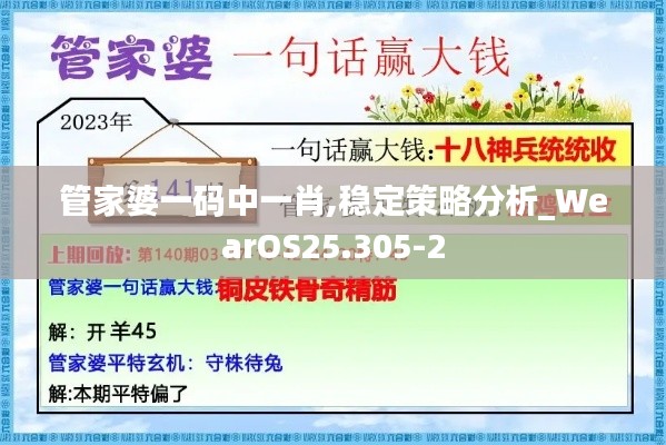 管家婆一码中一肖,稳定策略分析_WearOS25.305-2