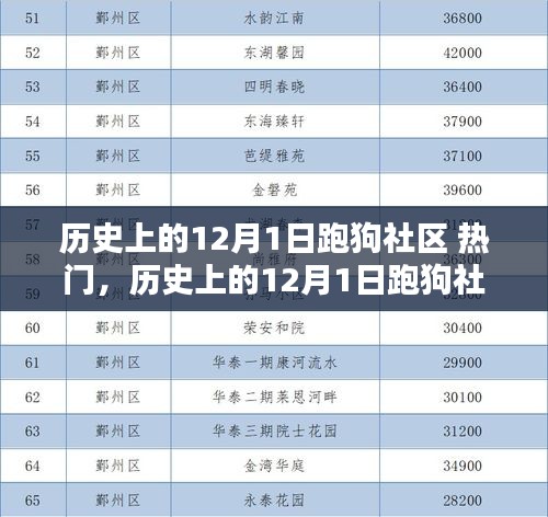 跑狗社区热门活动指南，从新手到进阶的全方位攻略，历史上的十二月一日精彩回顾