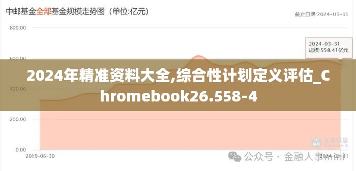 2024年精准资料大全,综合性计划定义评估_Chromebook26.558-4