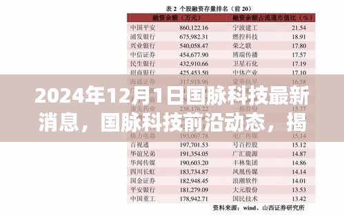 揭秘国脉科技前沿动态，最新消息与未来展望（2024年12月1日）