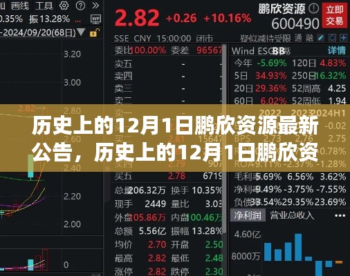 历史上的12月1日鹏欣资源公告解读，最新公告概览与解读