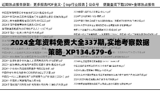 2024全年资料免费大全337期,实地考察数据策略_XP134.579-6