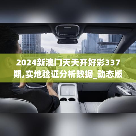 2024新澳门天天开好彩337期,实地验证分析数据_动态版15.968-2