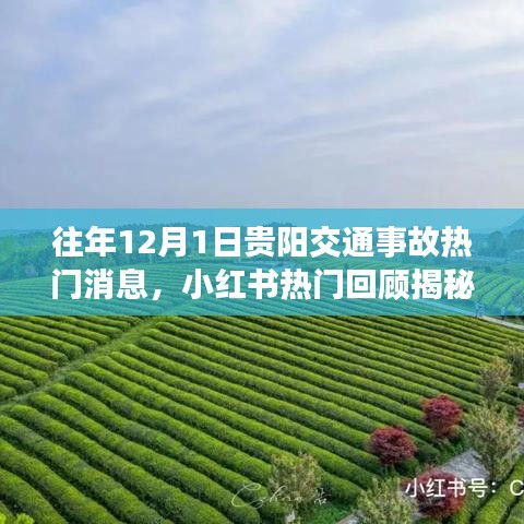 揭秘往年贵阳交通事故背后的故事与教训，小红书热门回顾回顾历年事故真相