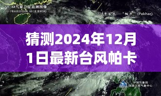 2024年12月2日 第6页