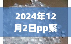 2024年12月2日PP聚丙烯市场深度解析及最新价格性能评测报告