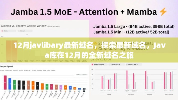 12月Java库全新域名之旅，探索最新域名，开启Java库之旅