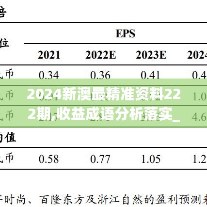 2024新澳最精准资料222期,收益成语分析落实_WP165.383-8