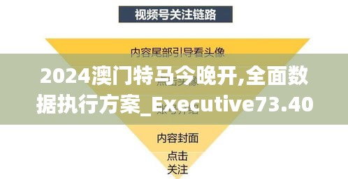 2024澳门特马今晚开,全面数据执行方案_Executive73.406-1